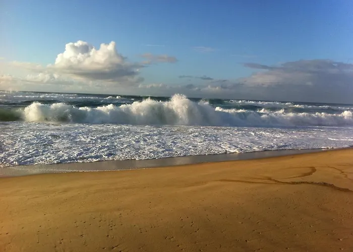 Entre Mer et Pins