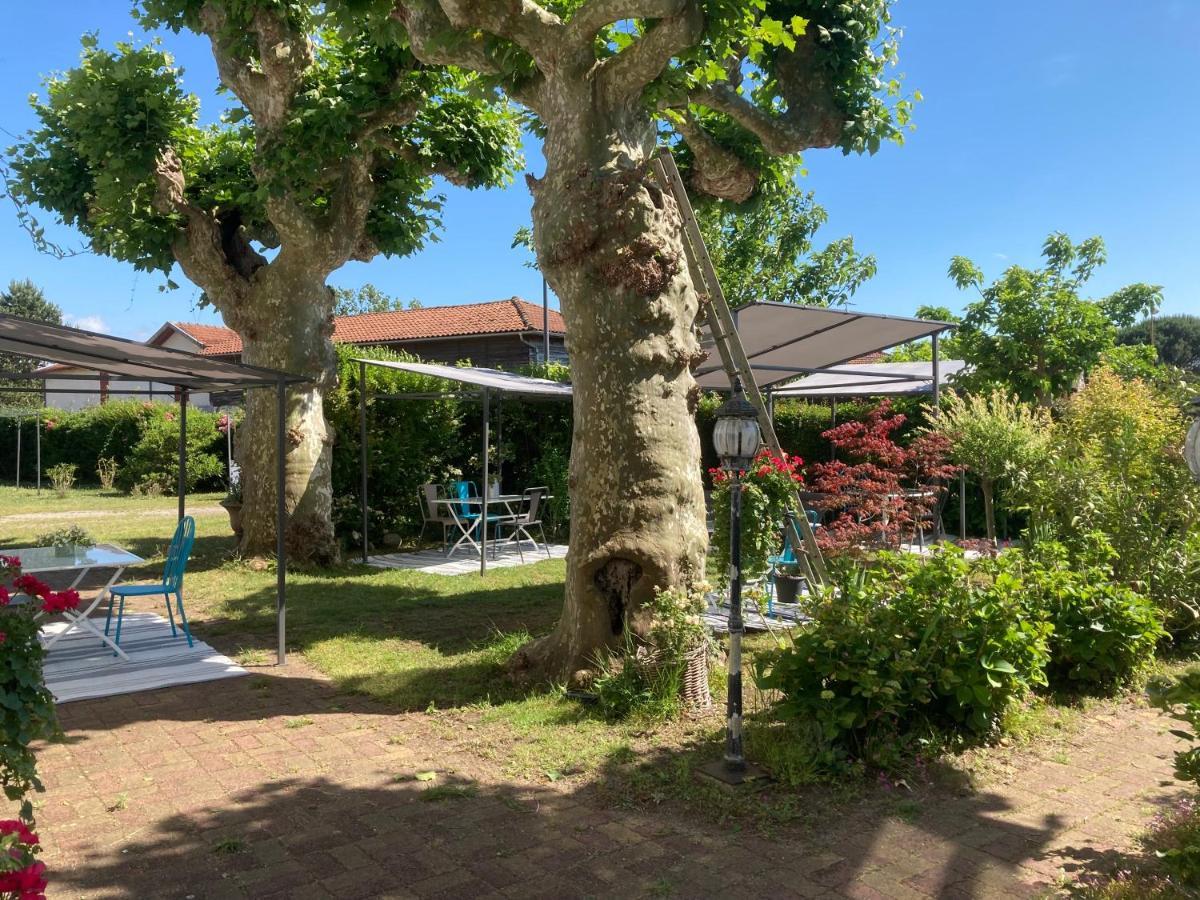 Entre Et Pins Gasthof